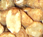 Detail - Peanuts